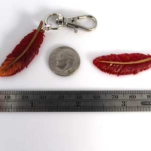 May include: Two red and gold feather charms, one with a silver key ring. The charms are approximately 2 inches long and are next to a US dime for size comparison.