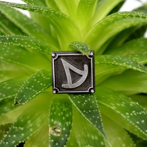 May include: A silver metal pin with a geometric design, featuring a triangle shape with a curved line, set against a dark gray background. The pin is displayed on a green succulent plant.