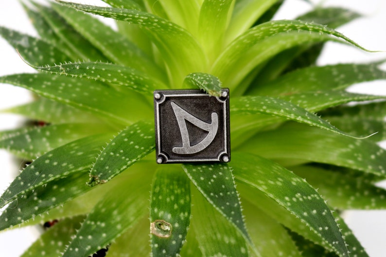 May include: A silver metal pin with a geometric design, featuring a triangle shape with a curved line, set against a dark gray background. The pin is displayed on a green succulent plant.