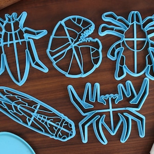 Insect Cookie Cutters - Big Roach, Creepy Spider, Noisy Cicada, Roly Poly, Tiny Tick - Creepy Crawlies Cookies - Springtime Gifts