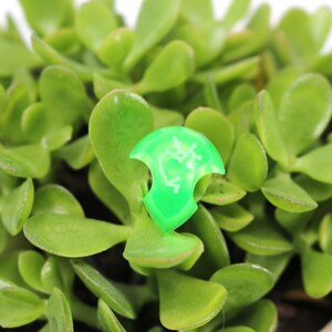 May include: A green plastic plant marker with white lettering. The marker is shaped like a shield and has a small hole at the top for hanging. The marker is sitting on top of a small green plant.
