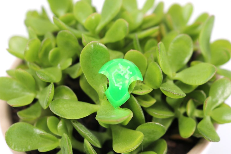 May include: A green plastic plant marker with white lettering. The marker is shaped like a shield and has a small hole at the top for hanging. The marker is sitting on top of a small green plant.