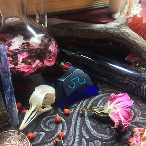 May include: A blue glass bottle with a cork stopper filled with dried herbs and flowers. A clear glass bottle with a blue crystal and pink flowers inside. A white skull with a long beak. A blue glass pendant with a symbol on it. A wooden antler and a book with a red cover.