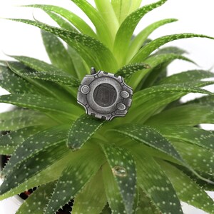 May include: A silver metal pin with a circular design featuring a black center and a raised border. The pin is sitting on a green succulent plant.