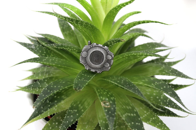May include: A silver metal pin with a circular design featuring a black center and a raised border. The pin is sitting on a green succulent plant.