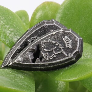 May include: Two silver-colored shields with a raised design, one on top of the other, resting on a bed of green leaves.