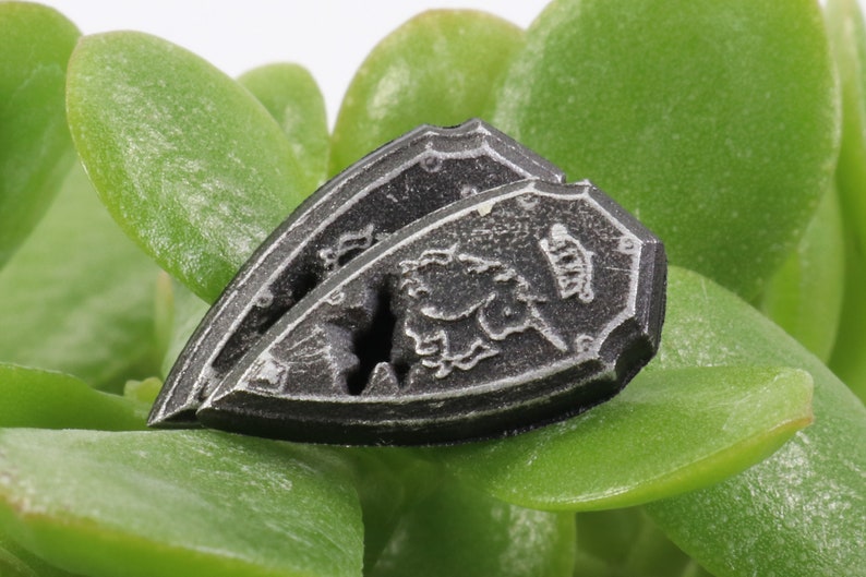May include: Two silver-colored shields with a raised design, one on top of the other, resting on a bed of green leaves.