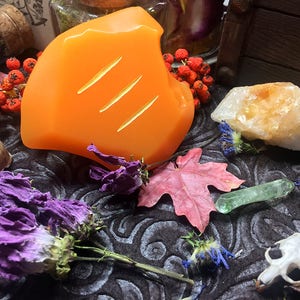 May include: Orange candle with three carved lines on a dark fabric background with dried flowers, a seashell, a small skull, and a green crystal.