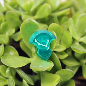 Puede incluir: Un dado de pl&aacute;stico azul turquesa con un s&iacute;mbolo blanco en &eacute;l. El dado est&aacute; sentado encima de una planta suculenta verde.