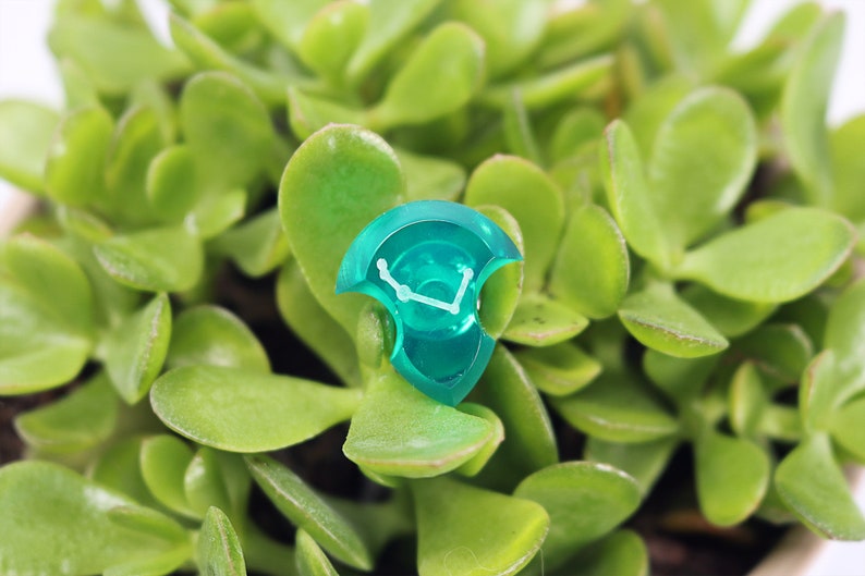 Puede incluir: Un dado de pl&aacute;stico azul turquesa con un s&iacute;mbolo blanco en &eacute;l. El dado est&aacute; sentado encima de una planta suculenta verde.
