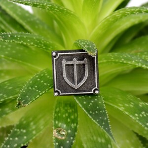 Puede incluir: Un pin de metal plateado con fondo negro y un dise&ntilde;o de escudo plateado. El pin est&aacute; sobre una planta suculenta verde.