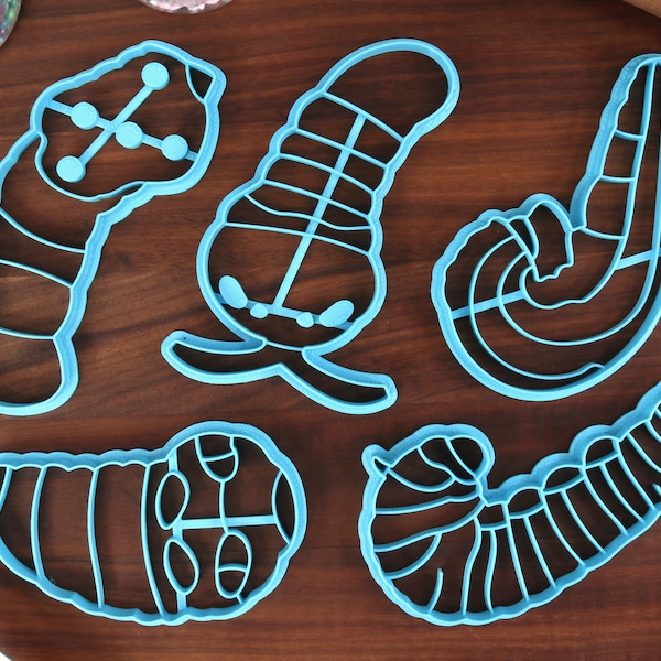 Butterfly Caterpillars Cookie Cutters - Long-tailed Skipper, Monarch Caterpillar, Orange Dog Caterpillar, Spicebush - Caterpillars Cookies