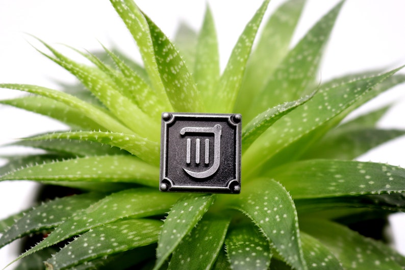 Op de afbeelding: Een zilveren metalen pin met een zwart vierkant frame en een wit harp symbool erin. De pin ligt op een groene vetplant.