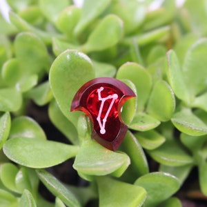 May include: A red, clear, resin dice with a white symbol of a constellation on it. The dice is sitting on a bed of green succulent plants.