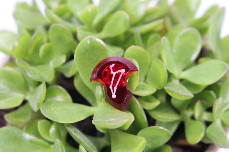 May include: A red, clear, resin dice with a white symbol of a constellation on it. The dice is sitting on a bed of green succulent plants.