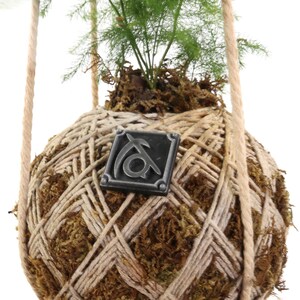 May include: A hanging kokedama, a Japanese style of plant display, with a green fern plant growing from a ball of moss and twine. A silver metal tag with a symbol is attached to the twine.