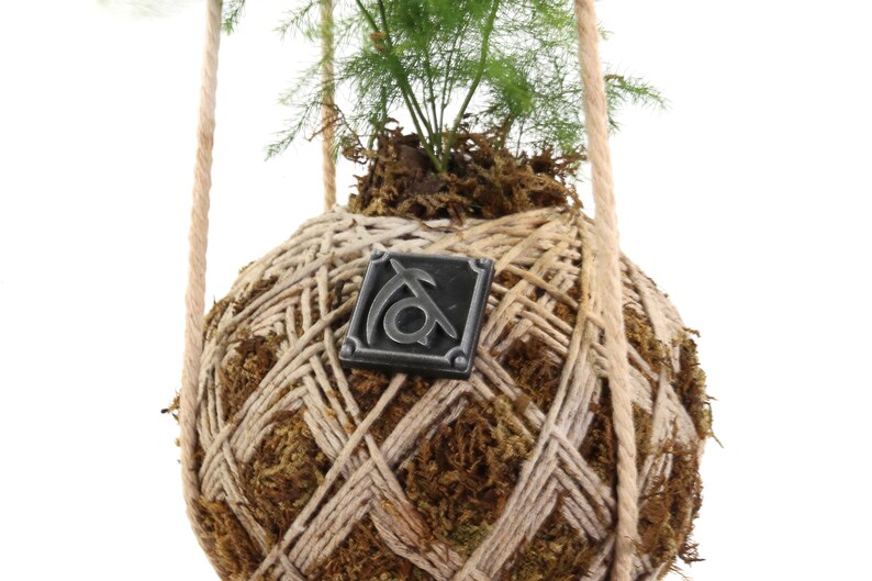 May include: A hanging kokedama, a Japanese style of plant display, with a green fern plant growing from a ball of moss and twine. A silver metal tag with a symbol is attached to the twine.