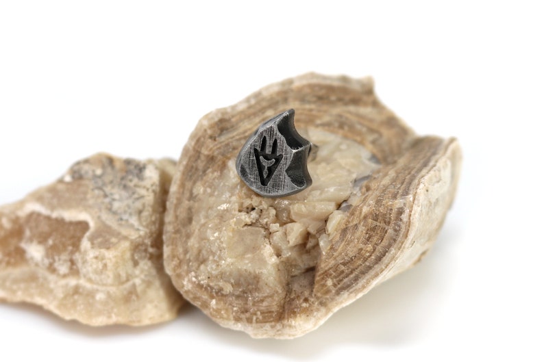 Puede incluir: Un peque&ntilde;o anillo plateado con un dise&ntilde;o geom&eacute;trico negro. El anillo est&aacute; apoyado en una pieza de roca rugosa de color marr&oacute;n claro.