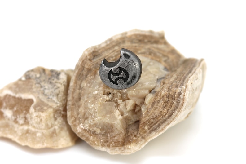 May include: A small, silver-coloured, crescent-shaped pendant with a black symbol in the centre, resting on a piece of light brown rock.