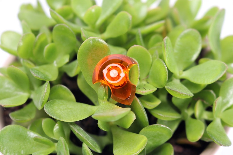 May include: A small, orange, plastic, decorative object with a white circle in the center. The object is sitting on top of a green succulent plant.