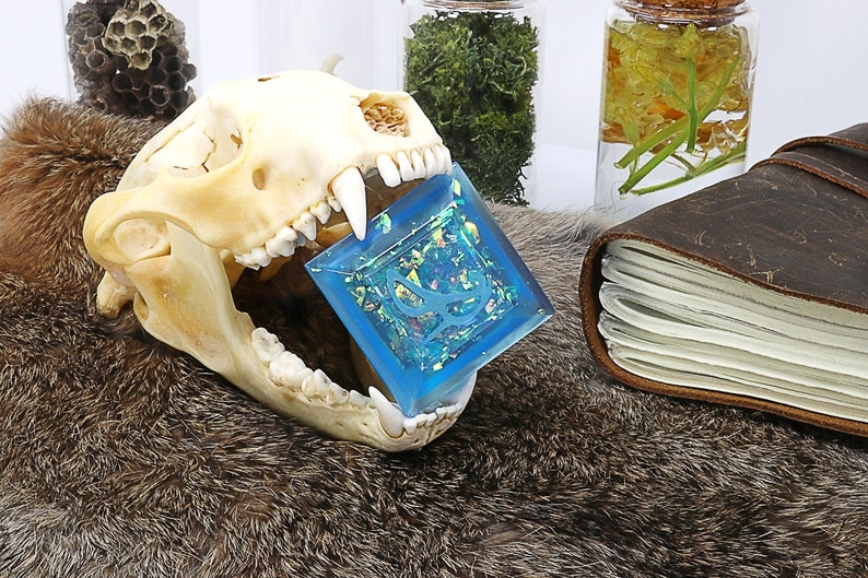 May include: A blue resin square with iridescent glitter and a white design inside, held in the open jaw of a white animal skull. The skull is on a brown fur surface.