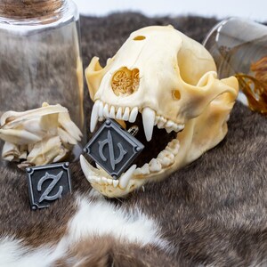 May include: A small animal skull with a metal charm with a letter 'P' in a square design in its mouth. The skull is on a brown fur surface with a clear glass jar with a cork lid and a small pile of bones in the background.