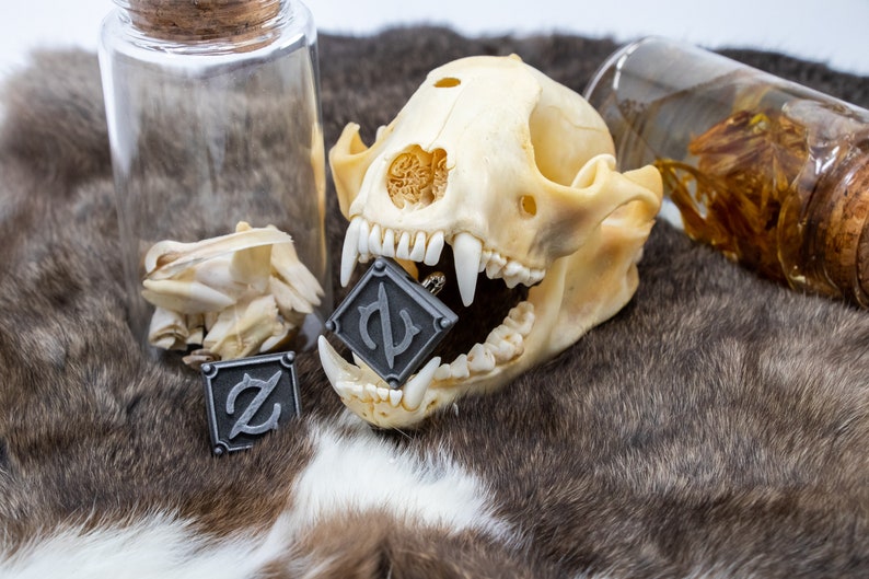 May include: A small animal skull with a metal charm with a letter 'P' in a square design in its mouth. The skull is on a brown fur surface with a clear glass jar with a cork lid and a small pile of bones in the background.