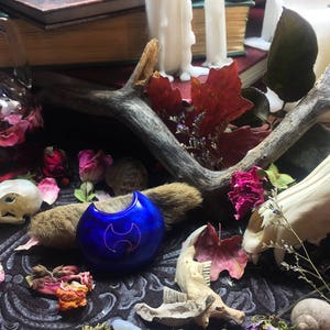 May include: A blue and silver pendant with a crescent moon design, surrounded by dried flowers, a skull, and a branch. The pendant is on a dark surface.