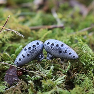 Pu&ograve; includere: Due sculture grigie, simili a pietre, con diversi piccoli fori, sono esposte su muschio verde. Le sculture hanno una superficie strutturata e sono vicine. Lo sfondo &egrave; sfocato, enfatizzando le sculture.