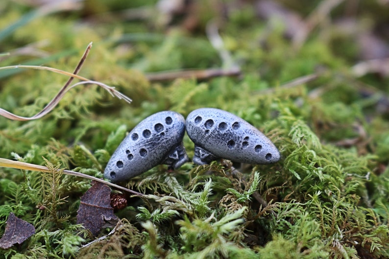 Pu&ograve; includere: Due sculture grigie, simili a pietre, con diversi piccoli fori, sono esposte su muschio verde. Le sculture hanno una superficie strutturata e sono vicine. Lo sfondo &egrave; sfocato, enfatizzando le sculture.