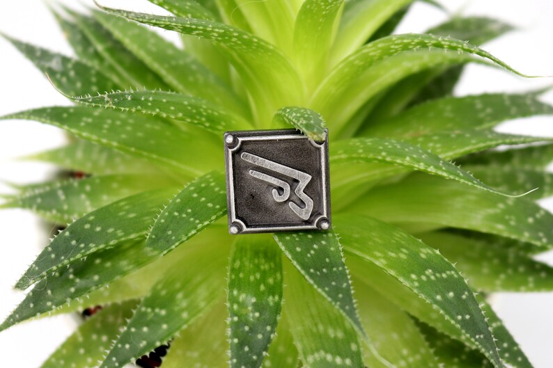 May include: A silver metal pin with a stylized design of a winged arrow. The pin is on a green succulent plant.