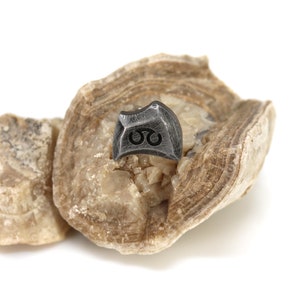 May include: A small, black metal charm with a symbol resembling a double infinity sign, resting on a piece of light brown rock.