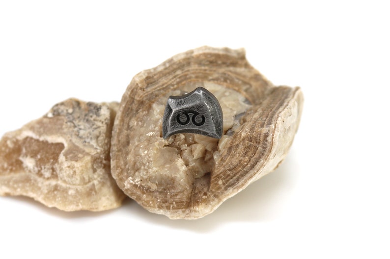May include: A small, black metal charm with a symbol resembling a double infinity sign, resting on a piece of light brown rock.
