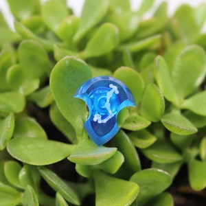 May include: A blue, transparent, plastic dice with white markings in the shape of a shield. The dice is sitting on top of a green succulent plant.