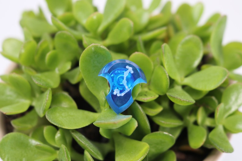 May include: A blue, transparent, plastic dice with white markings in the shape of a shield. The dice is sitting on top of a green succulent plant.