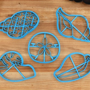 Seashell Cookie Cutters - Babylon Shell, Sand Dollar, Nautilus, Tulip Conch, Egg Crownie - Beach Gift IDea