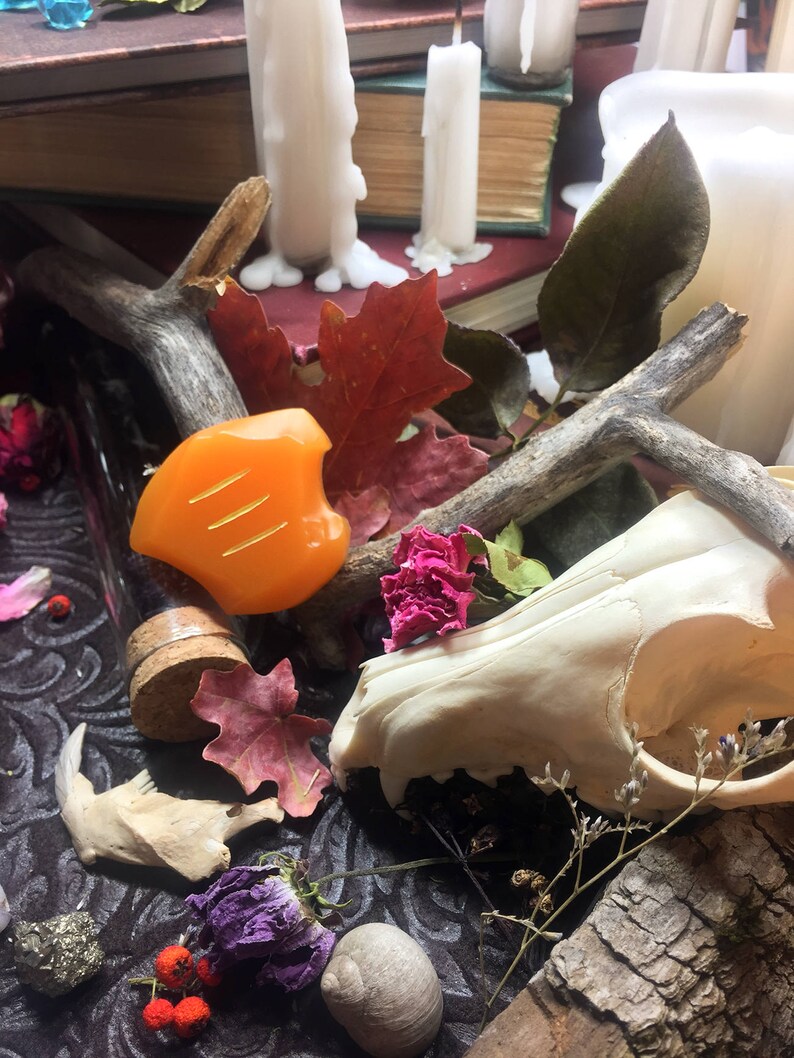 May include: A still life featuring a variety of objects, including a small orange heart-shaped object, a white animal skull, dried leaves, and a small bottle with a cork stopper. The objects are arranged on a dark patterned surface.