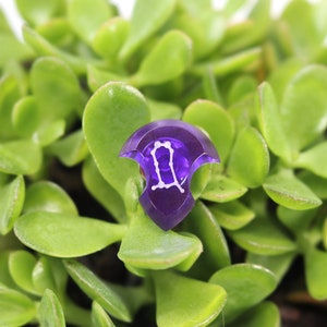 May include: A purple glass dice with the Gemini zodiac symbol in white. The dice is sitting on top of a green succulent plant.