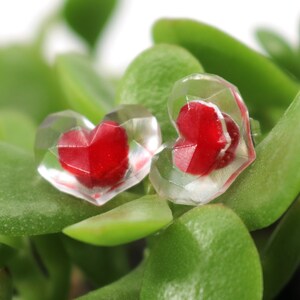 Puede incluir: Dos pendientes transparentes en forma de coraz&oacute;n con corazones rojos en su interior. Los pendientes est&aacute;n sobre un fondo de hojas verdes.