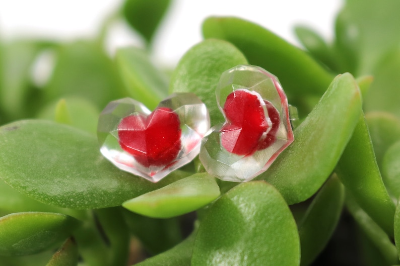 Puede incluir: Dos pendientes transparentes en forma de coraz&oacute;n con corazones rojos en su interior. Los pendientes est&aacute;n sobre un fondo de hojas verdes.