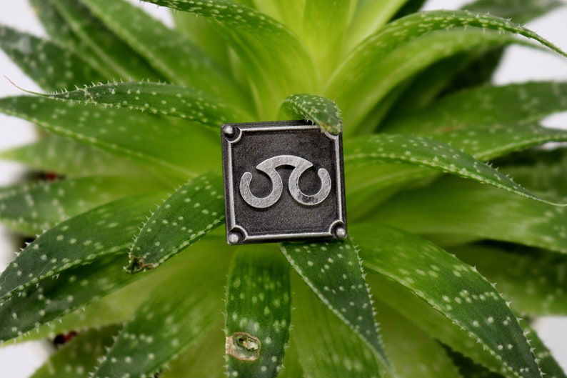 May include: A silver metal pin with a black background and a stylized symbol. The pin is on a green plant.