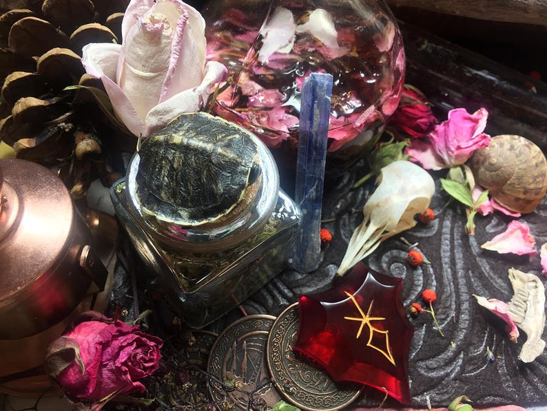 May include: A collection of witchy items including a glass jar with a lid, a blue crystal, a dried rose, a pine cone, a red glass star, and a skull-shaped glass jar filled with dried flowers.