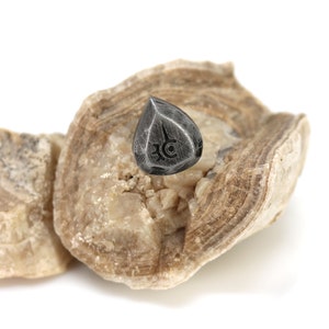 May include: A black teardrop-shaped guitar pick with a symbol etched into the surface, resting on a piece of light brown rock.