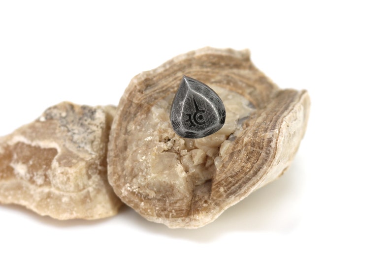 May include: A black teardrop-shaped guitar pick with a symbol etched into the surface, resting on a piece of light brown rock.