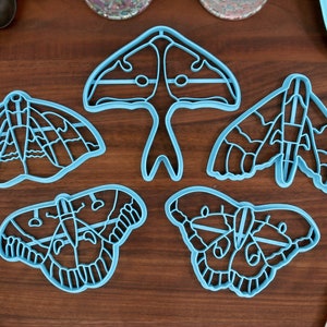 Moth Cookie Cutters Set 1 - Luna Moth, Cecropia Moth, Imperial Moth, Modest Sphinx Moth, Polyphemus Moth - Moth Gift Idea
