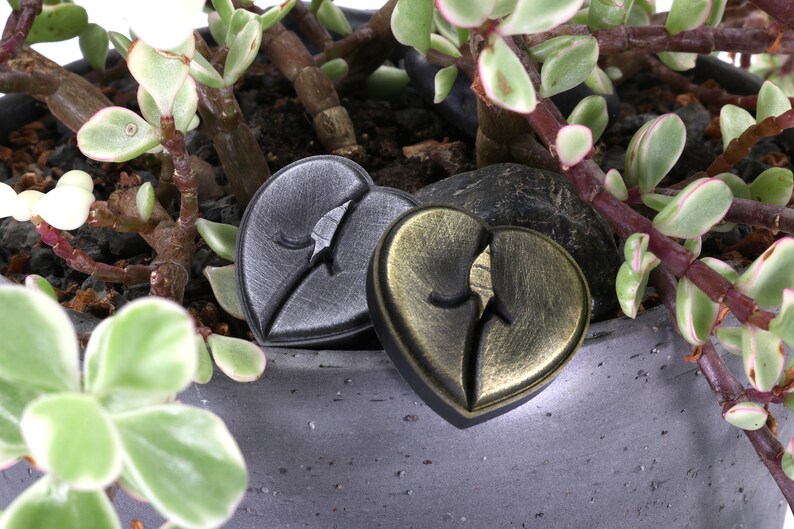 May include: Two broken heart-shaped ornaments, one black and one gold, are nestled in a pot of green and white succulents.