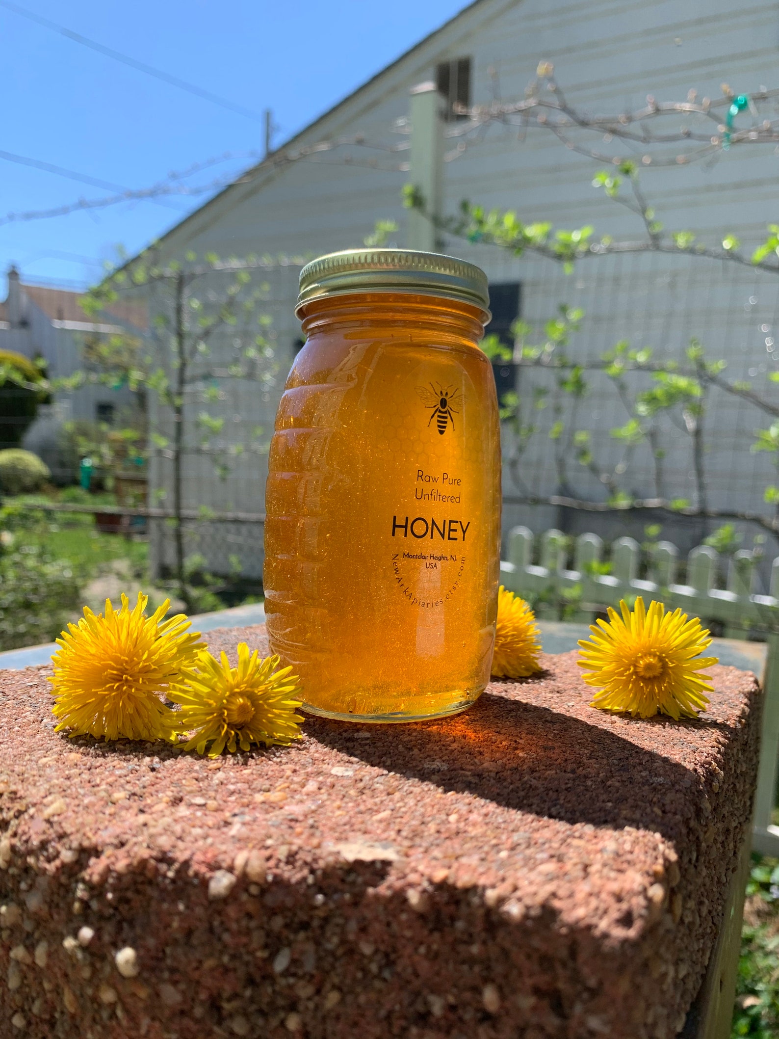 New Jersey Unfiltered Honey with Local Pollen 8oz Etsy