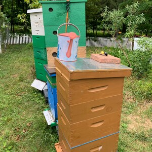 May include: A stack of wooden beehives with a green painted beehive on top. A watering can is sitting on top of the green beehive. The beehives are in a grassy area with a white picket fence in the background.
