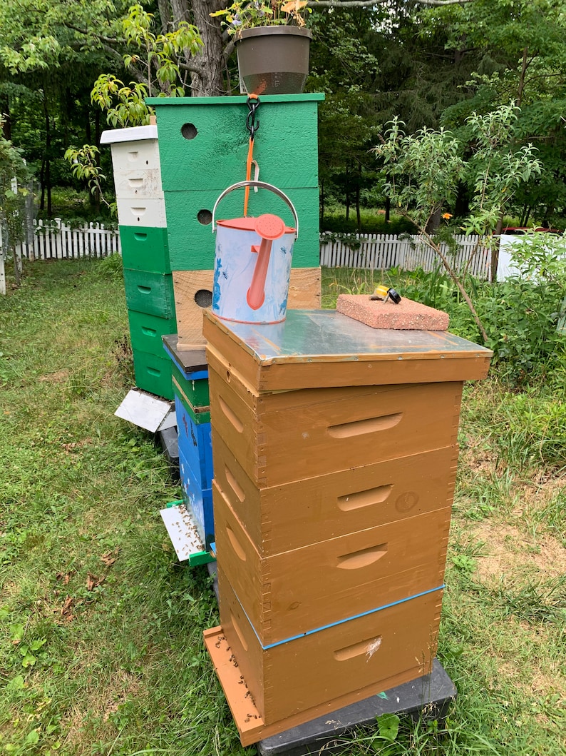 May include: A stack of wooden beehives with a green painted beehive on top. A watering can is sitting on top of the green beehive. The beehives are in a grassy area with a white picket fence in the background.