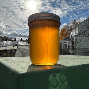 Raw Summer Honey: NJ Local Pollen, Unfiltered (24oz)